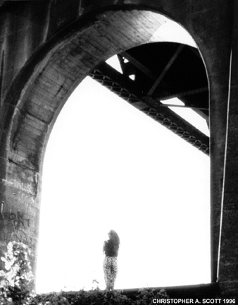 Trestle&copy; Christopher A. Scott 1998